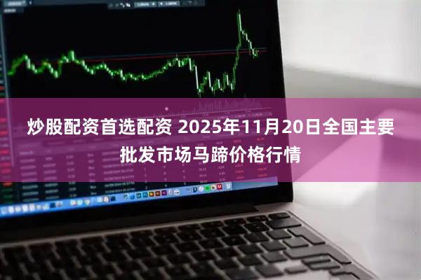 炒股配资首选配资 2025年11月20日全国主要批发市场马蹄价格行情